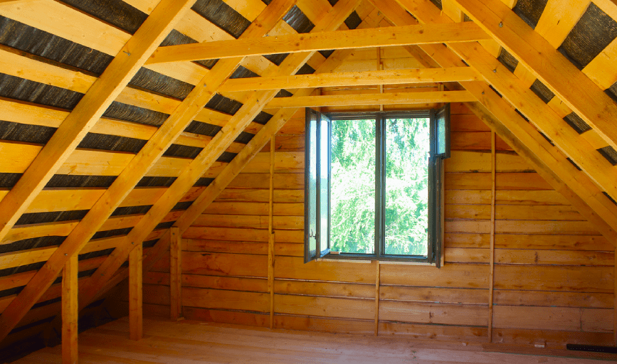 Attic Inspection
